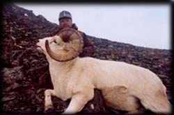 Robert Broadway of Altamont, KS with a big Dall Ram