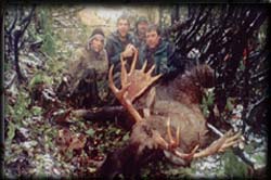 James Filipowicz (2nd from left) of Great Falls, MT with his Bull Moose (L-R Paul Pletnokof, Joseph Filipowicz & Lance Kopsack)
