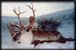 Guide Braun Kopsack with an Arctic Barren Ground Caribou, taken October 2004 by arrow