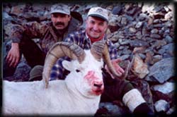 Herman Kristan of Austria showing off a well earned Dall Ram