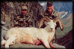 John Piekarski of Fergus Falls, MN with his Dall Ram