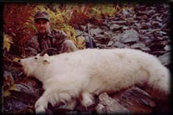 Joe Polunk of Minnesota with his Mountain Goat