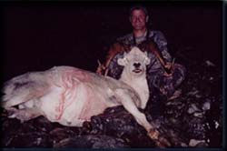 Russel Robinson of Bremington, WA with his Nice Dall Ram