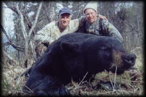 Knik Glacier Adventures - Hunting: Black Bear