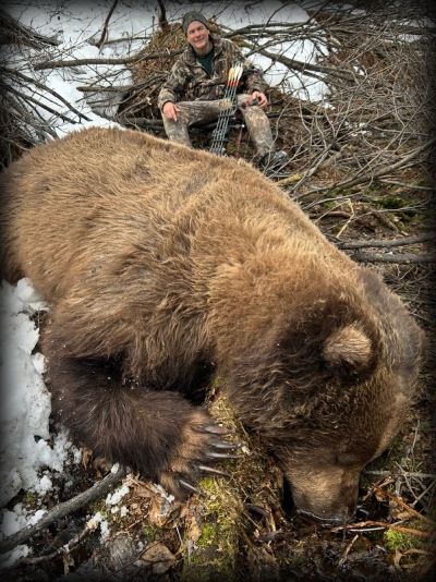 Koslowski bear