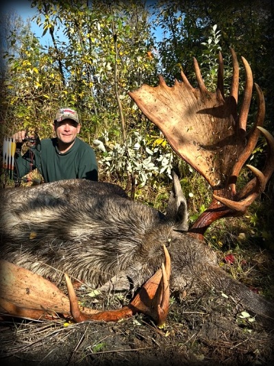 Koslowski moose