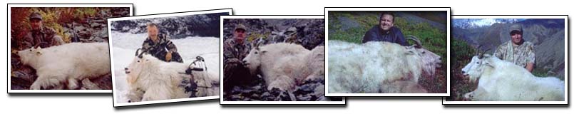 Knik Glacier Adventures - Hunting Mountain Goat