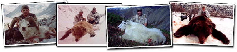 Knik Glacier Adventures - expertly guided hunts for Mountain Goats, Moose, Brown Bear, Black Bear, Dall Sheep, Wolves, Ibex